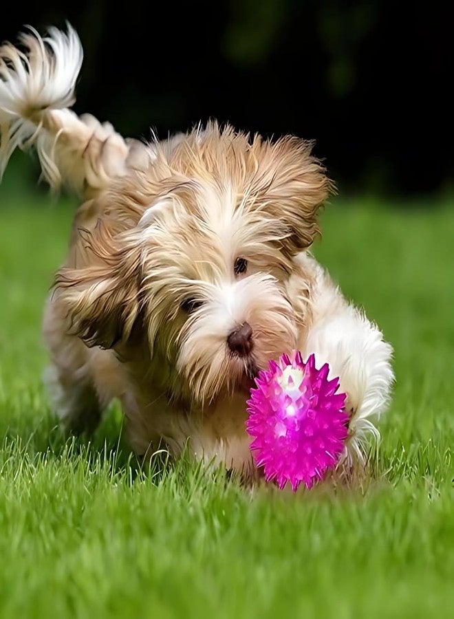 PET FUN كرة شوكية مضيئة للحيوانات الأليفة | لعبة مضيئة ونابضة وتصدر صوتاً للكلاب والقطط، لعبة مضغ مطاطية آمنة وتفاعلية (عبوة من قطعة واحدة) - Image 4